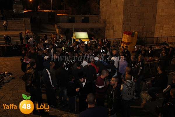 bikers yaffaj832 (44).JPG